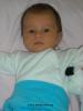 Foto vom Album: Beelitzer Babygalerie