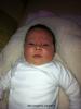 Foto vom Album: Beelitzer Babygalerie