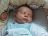 Foto vom Album: Beelitzer Babygalerie