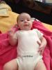 Foto vom Album: Beelitzer Babygalerie