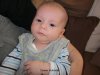 Foto vom Album: Beelitzer Babygalerie