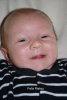 Foto vom Album: Beelitzer Babygalerie
