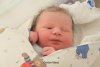Foto vom Album: Beelitzer Babygalerie