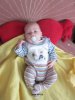 Foto vom Album: Beelitzer Babygalerie