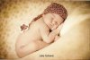 Foto vom Album: Beelitzer Babygalerie