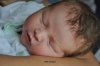 Foto vom Album: Beelitzer Babygalerie
