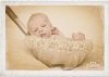 Foto vom Album: Beelitzer Babygalerie
