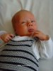 Foto vom Album: Beelitzer Babygalerie