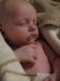 Foto vom Album: Beelitzer Babygalerie
