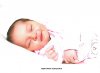Foto vom Album: Beelitzer Babygalerie