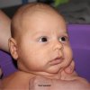 Foto vom Album: Beelitzer Babygalerie