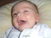 Foto vom Album: Beelitzer Babygalerie