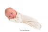 Foto vom Album: Beelitzer Babygalerie