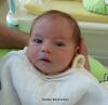 Foto vom Album: Beelitzer Babygalerie