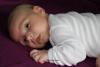 Foto vom Album: Beelitzer Babygalerie