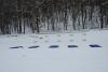Foto vom Album: Training Biathlon