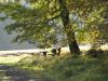 Fotoalbum Fotos aus der Gemeinde Kn&uuml;llwald