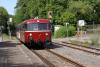 &Uuml;rdinger Triebwagen beim Einfahrt in den Bahnhof Neckarbischofsheim