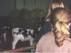 Foto vom Album: Projekttage