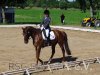 Foto vom Album: Reitturnier Uenze 2012