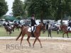 Foto vom Album: Reitturnier Uenze 2012