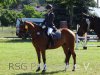 Foto vom Album: Reitturnier Uenze 2012