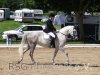Foto vom Album: Reitturnier Uenze 2012