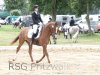 Foto vom Album: Reitturnier Uenze 2012