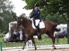 Foto vom Album: Reitturnier Uenze 2012