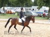 Foto vom Album: Reitturnier Uenze 2012