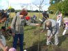 Foto vom Album: Bäumchen mit Beelitzer Familien gepflanzt