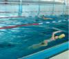 Foto vom Album: Schwimmunterricht der sportklasse 7b