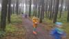 Foto vom Album: Torgelower Crosslauf, 11.10.2014