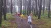 Foto vom Album: Torgelower Crosslauf, 11.10.2014