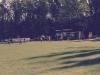 Foto vom Album: F-Jugend Turnier Milmersdorf