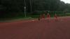 Foto vom Album: Trainingslager Leichtathleten 2015