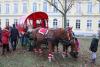 Foto vom Album: Aufstellen ds Weihnachtsbaumes in Leezen, Schloßlatz