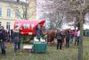 Foto vom Album: Aufstellen ds Weihnachtsbaumes in Leezen, Schloßlatz