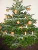 Fotoalbum Adventskalender Werningerode 2015