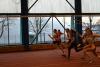 Foto vom Album: Hallenmeeting in Zehdenick / Nationales Schülersportfest Berlin