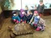 Foto vom Album: Klasse 1 besucht im Sachkundeunterricht die Schildkröten von Dr. Mittag