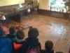 Foto vom Album: Klasse 1 besucht im Sachkundeunterricht die Schildkröten von Dr. Mittag