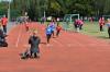 Bild von Galerie: Leichtathletik 2015 (August bis Oktober)