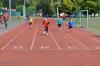 Bild von Galerie: Leichtathletik 2015 (August bis Oktober)