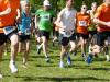 Bild von Galerie: 11. Brüssower Pokallauf