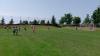 Bild von Galerie: F-Jugend Turnier, 04.06.2016