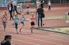 Bild von Galerie: Leichtathletik 2016 (April bis Juli)