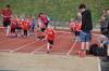 Bild von Galerie: Leichtathletik 2016 (April bis Juli)