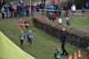 Bild von Galerie: Leichtathletik 2016 (November und Dezember)