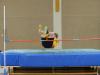 Bild von Galerie: Leichtathletik 2017 (Januar bis März)